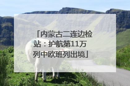 内蒙古二连边检站：护航第11万列中欧班列出境