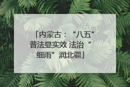 内蒙古：“八五”普法显实效 法治“细雨”润北疆