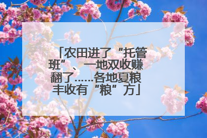 农田进了“托管班”、一地双收赚翻了……各地夏粮丰收有“粮”方