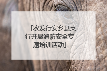 农发行安乡县支行开展消防安全专题培训活动