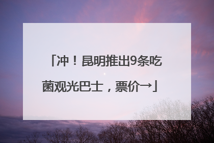 冲！昆明推出9条吃菌观光巴士，票价→