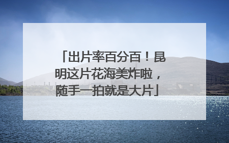 出片率百分百！昆明这片花海美炸啦，随手一拍就是大片