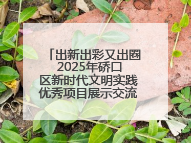 出新出彩又出圈 2025年硚口区新时代文明实践优秀项目展示交流活动举行