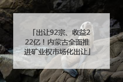 出让92宗、收益222亿！内蒙古全面推进矿业权市场化出让