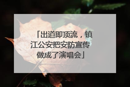 出道即顶流，镇江公安把安防宣传做成了演唱会
