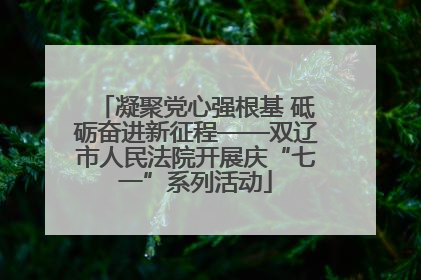 凝聚党心强根基 砥砺奋进新征程——双辽市人民法院开展庆“七一”系列活动