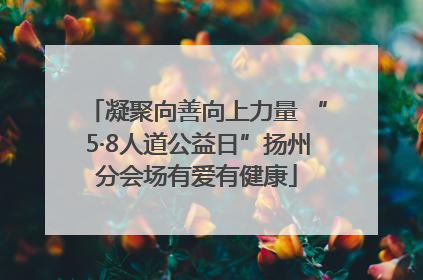 凝聚向善向上力量 “5·8人道公益日”扬州分会场有爱有健康