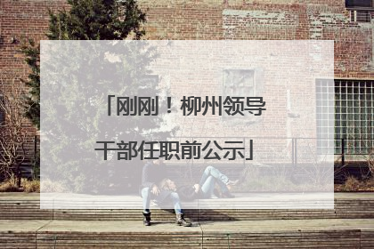刚刚！柳州领导干部任职前公示