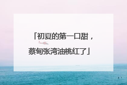 初夏的第一口甜，蔡甸张湾油桃红了