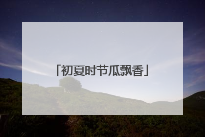 初夏时节瓜飘香