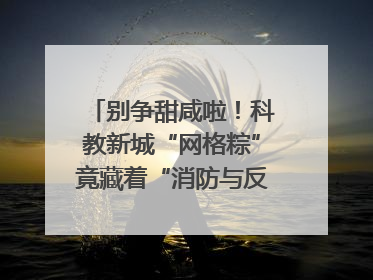 别争甜咸啦！科教新城“网格粽”竟藏着“消防与反诈秘籍”