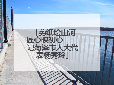 剪纸绘山河 匠心映初心——记菏泽市人大代表杨秀玲