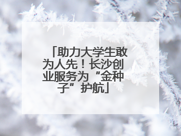 助力大学生敢为人先！长沙创业服务为“金种子”护航