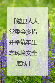 勉县人大常委会多措并举筑牢生态环境安全底线