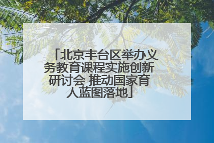 北京丰台区举办义务教育课程实施创新研讨会 推动国家育人蓝图落地