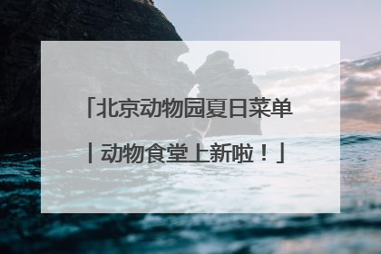 北京动物园夏日菜单丨动物食堂上新啦！