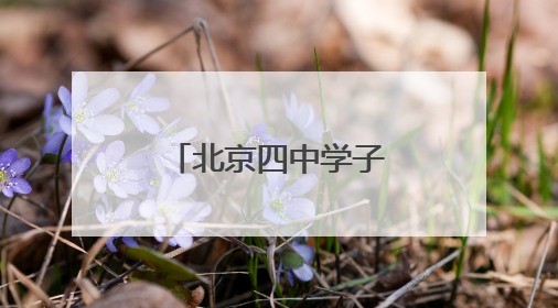 北京四中学子沉浸式体验记者职业魅力