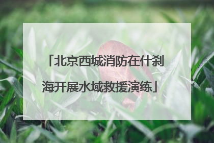 北京西城消防在什刹海开展水域救援演练