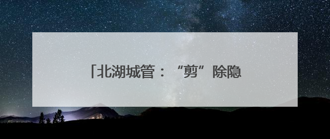 北湖城管：“剪”除隐患树“修”来安居行