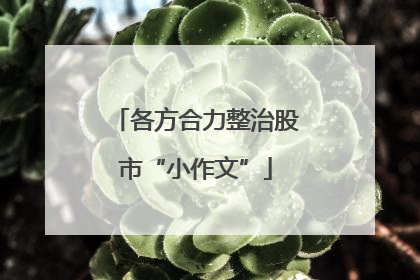各方合力整治股市“小作文”