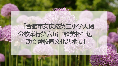 合肥市安庆路第三小学大杨分校举行第六届“和美杯”运动会暨校园文化艺术节