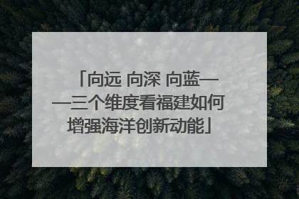 向远 向深 向蓝——三个维度看福建如何增强海洋创新动能