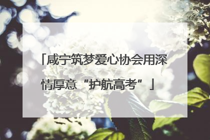 咸宁筑梦爱心协会用深情厚意“护航高考”