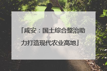 咸安：国土综合整治助力打造现代农业高地