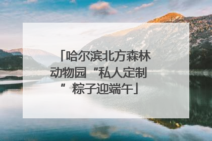 哈尔滨北方森林动物园“私人定制”粽子迎端午