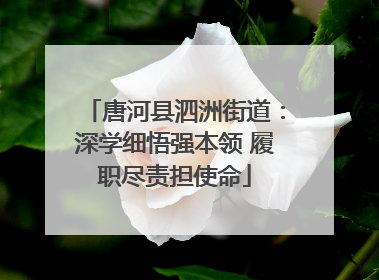 唐河县泗洲街道：深学细悟强本领 履职尽责担使命