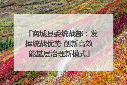 商城县委统战部：发挥统战优势 创新高效能基层治理新模式