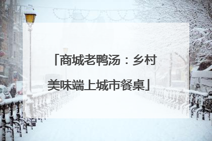 商城老鸭汤：乡村美味端上城市餐桌