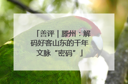 善评｜滕州：解码好客山东的千年文脉“密码”
