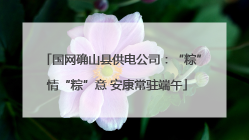 国网确山县供电公司：“粽”情“粽”意 安康常驻端午