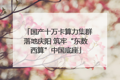 国产十万卡算力集群落地庆阳 筑牢“东数西算”中国底座