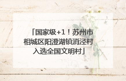 国家级+1！苏州市相城区阳澄湖镇消泾村入选全国文明村