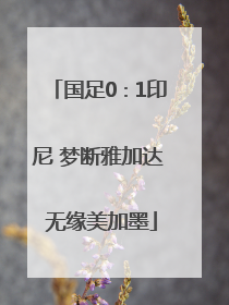 国足0∶1印尼 梦断雅加达 无缘美加墨