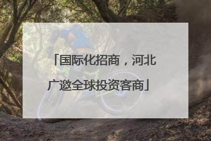 国际化招商，河北广邀全球投资客商