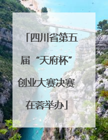 四川省第五届“天府杯”创业大赛决赛在蓉举办