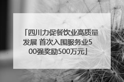 四川力促餐饮业高质量发展 首次入围服务业500强奖励500万元