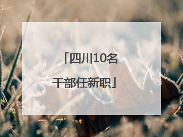 四川10名干部任新职