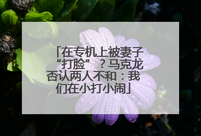 在专机上被妻子“打脸”？马克龙否认两人不和：我们在小打小闹