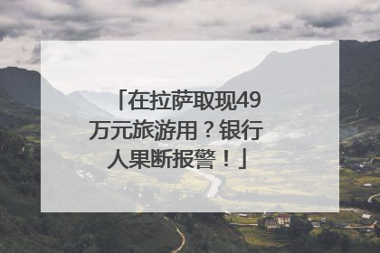 在拉萨取现49万元旅游用？银行人果断报警！