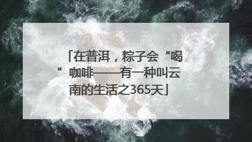 在普洱，粽子会“喝”咖啡——有一种叫云南的生活之365天