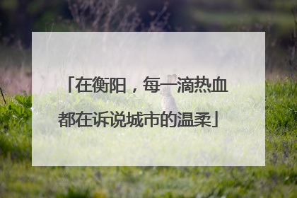 在衡阳，每一滴热血都在诉说城市的温柔