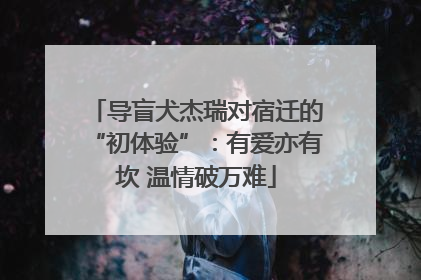 导盲犬杰瑞对宿迁的“初体验”：有爱亦有坎 温情破万难