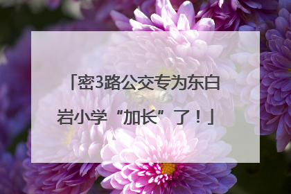密3路公交专为东白岩小学“加长”了！