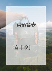 富硒紫麦喜丰收