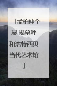 孟柏伸个展 揭幕呼和浩特西贝当代艺术馆