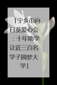 宁乡市向日葵爱心会：十年助学让近三百名学子圆梦大学